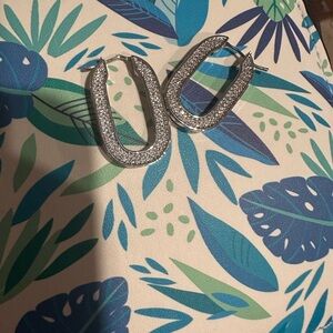 Beautiful Silver Shimmer splendid Earrings